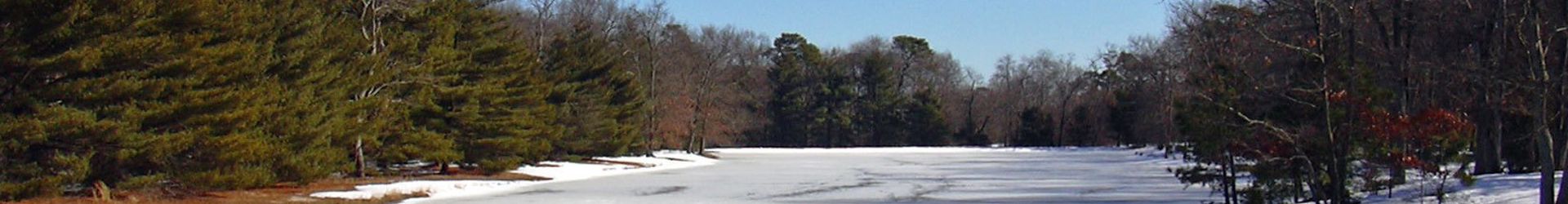 Lakewood NJ Cropped