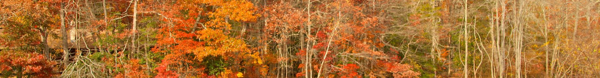 Wall Cropped Shutterstock 1332590972